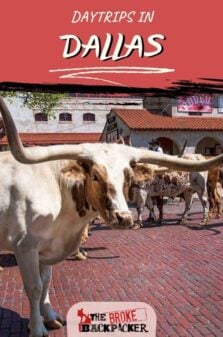 Day Trips in Dallas Pinterest Image