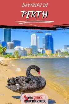 Day Trips in Perth Pinterest Image