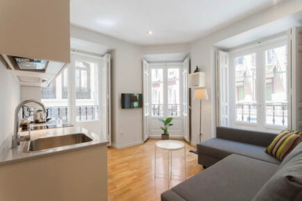 Spacious Apartment near Sol