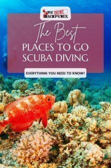 Best Places to go Scuba Diving Pinterest Image