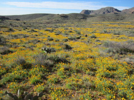 Explore the Franklin Mountains State Park