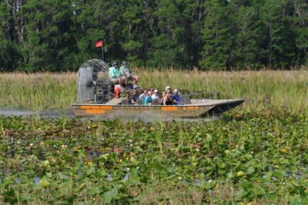 Explore the Everglades from an Airboat