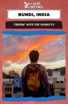 Trippin’ With The Monkeys Pinterest Image