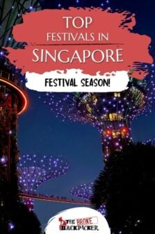 Festivals in Singapore Pinterest Image