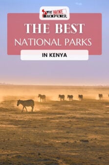National Parks in Kenya Pinterest Image