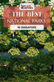 National Parks in Singapore Pinterest Image