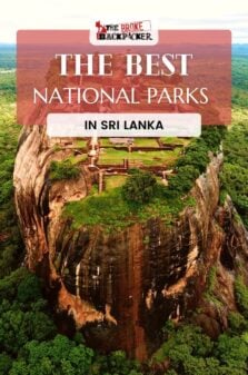National Parks in Sri Lanka Pinterest Image