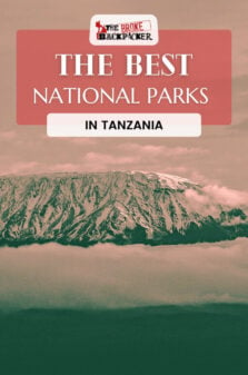National Parks in Tanzania Pinterest Image