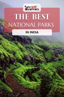 National Parks in India Pinterest Image