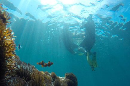 Snorkeling Day Trip Kota Kinabalu