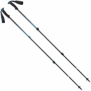 The 4 Best Walking Poles of 2024