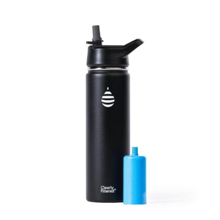 LifeStraw Go Stainless Steel Water Bottle with Filter-1L-Black