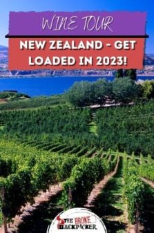 The Best New Zealand Winery Tours – Get Loaded in 2023! Pinterest Image