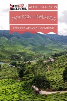 Where to Stay in Cameron Highlands Pinterest Image