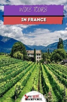 Winery Tours in France Pinterest Image