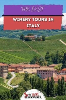 Winery Tours in Italy Pinterest Image