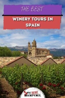 Winery Tours in Spain Pinterest Image