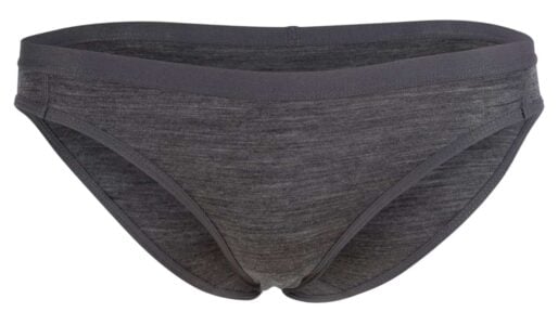 Ridge Merino Bikini Brief