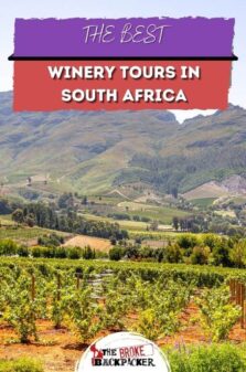 Winery Tours in South Africa Pinterest Image