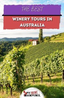 Winery Tours in Australia Pinterest Image