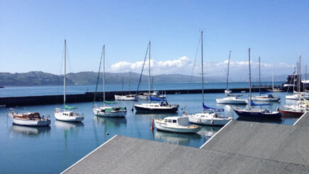 View from the top of the boat sheds in Oriental Bay. Blue sky and sail boats on the water.