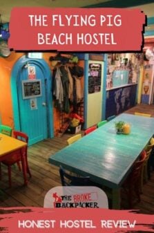 The Flying Pig Beach Hostel – TOTALLY Honest Review (2023) Pinterest Image
