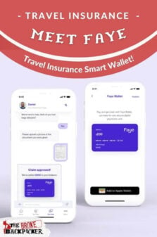 Meet Faye – The Travel Insurance Smart Wallet Fresh For 2023 Pinterest Image