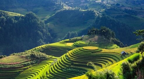 Safety Vietnam