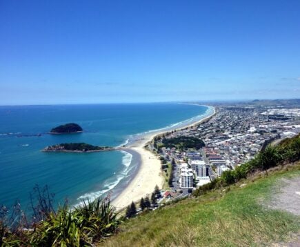 tauranga bay