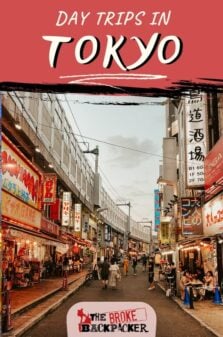 Day Trips in Tokyo Pinterest Image