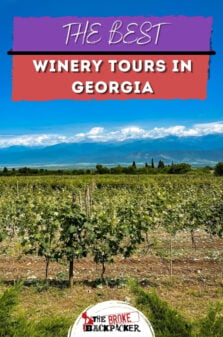Winery Tours in Georgia Pinterest Image