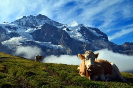 Grindelwald, Interlaken