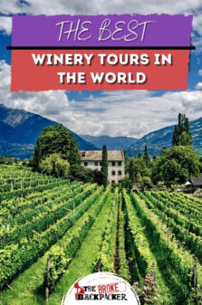 9 SWEET Winery Tours in the World Pinterest Image