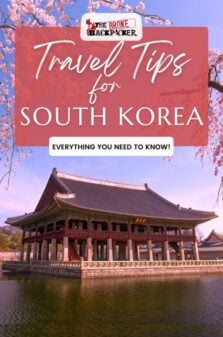 South Korea Travel Tips You Need to Know Pinterest Image