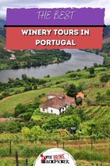 Best Portugal Winery Tours Pinterest Image