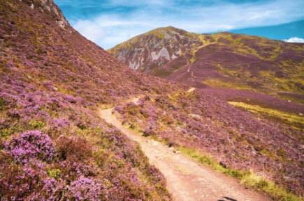 Cairngorms National Park Inverness