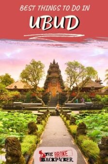 Things to Do in Ubud Pinterest Image