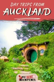 Day Trips from Auckland Pinterest Image