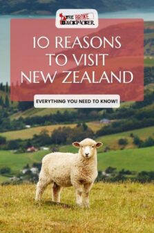 10 Reasons to Visit New Zealand Pinterest image