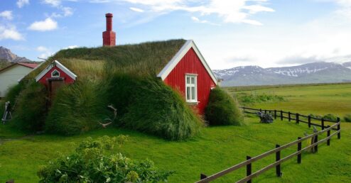 apartments in iceland grassy