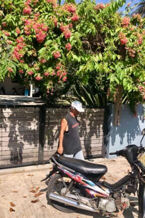 Man and Motorbike outside villa covered in flowers in Batukaras west Java Indonesia