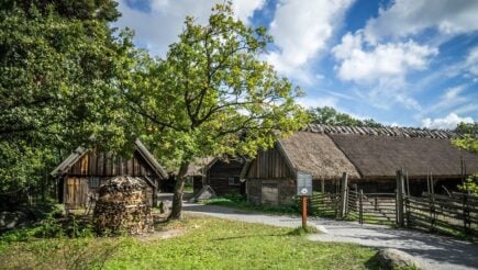 skansen museum things to do in stockholm