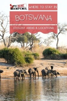 where to stay in Botswana pinterest image