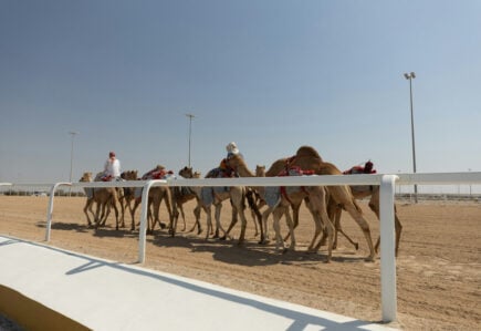 Ash Shahaniyah , Qatar