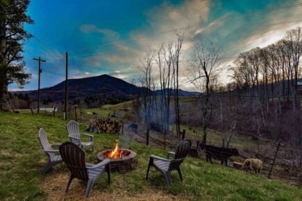 Serene Pine Tree Meadows Cottage