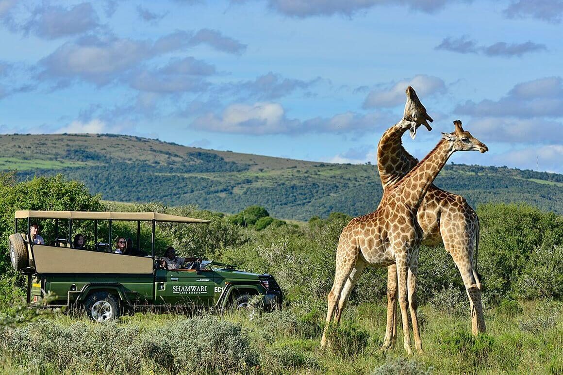 Shamwari Private Game Reserve