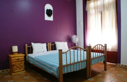 Mexico City Hostel