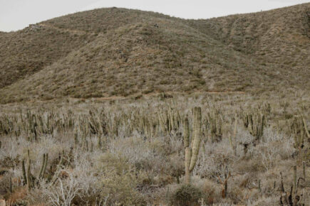 La Poza Todos Santos