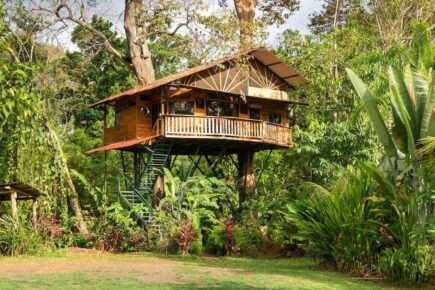 Treehouse with butterfly and exotic fruit farm