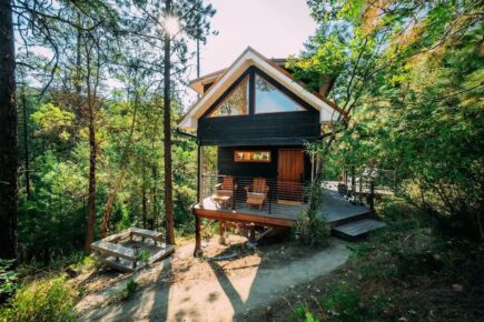 Tree Top Studio